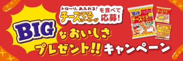 BIGなおいしさプレゼントキャンペーン