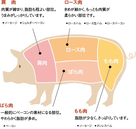 知る 学ぶ 銀河フーズ 安全 安心をおいしさに込めて 食卓へお届けいたします 知る 学ぶ 銀河フーズ 安全 安心をおいしさに込めて 食卓へお届けいたします